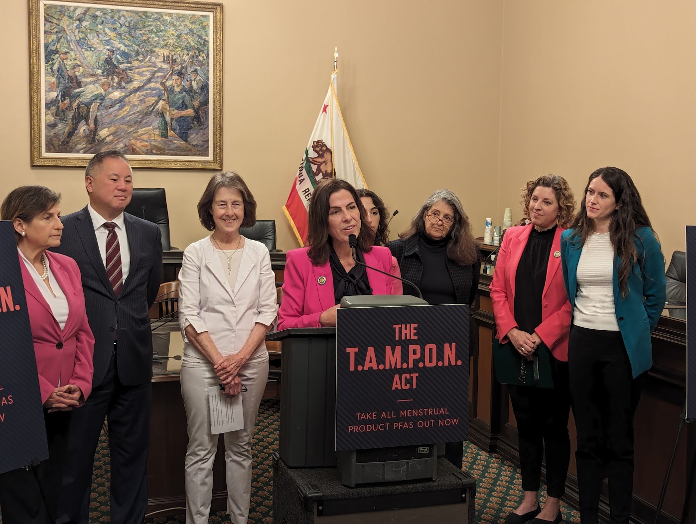 Assemblymember Diane Papan speaks about her legislation on removing PFAS chemicals out of women's hygine products. Press conf held in a committee room at tstate capitol. 